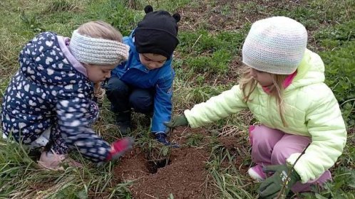 Děti ze školky Duha v Třebíči sázely stromy pro budoucí generace