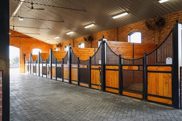 Horse stable with wooden and metal stall fronts and partitions, featuring protective grill options.