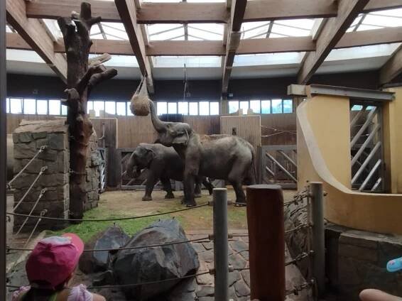 Hurá do Zoo - Oficiální stránky MŠ Příbor-Pionýrů