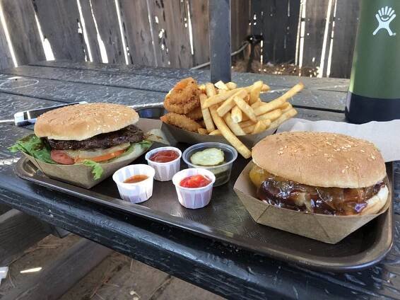 izzys burgers and fries