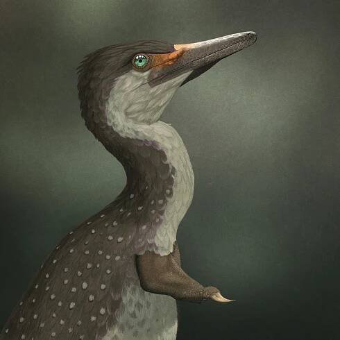John Conway.art - Dinosaurs