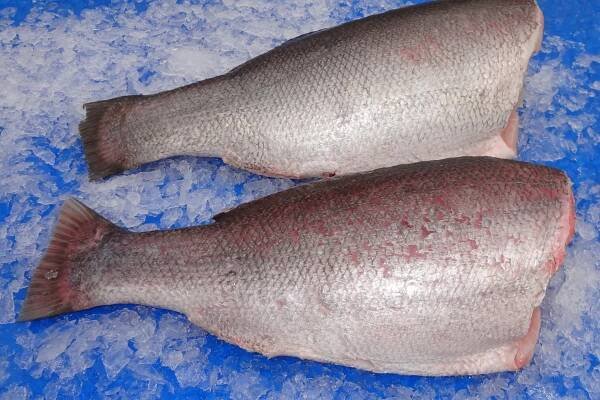 Nyanza Perch - Nyanza Perch Limuted - Fish Processing & Exporting company in Uganda