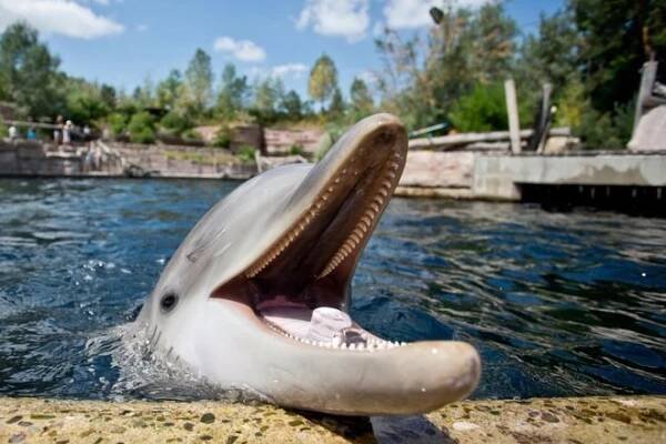 Jednodenní Norimberk s návštěvou místní ZOO a delfinária - Orbit travel s.r.o.