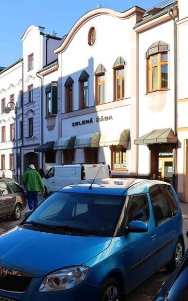 Restaurace Zelená Žába foto 5