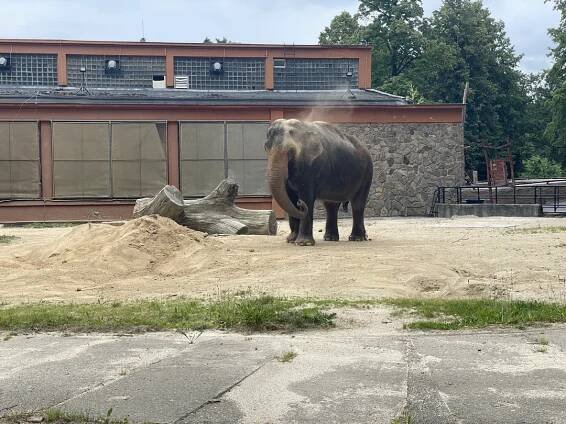 Zoologická a botanická zahrada Liberec | Slevomat.cz