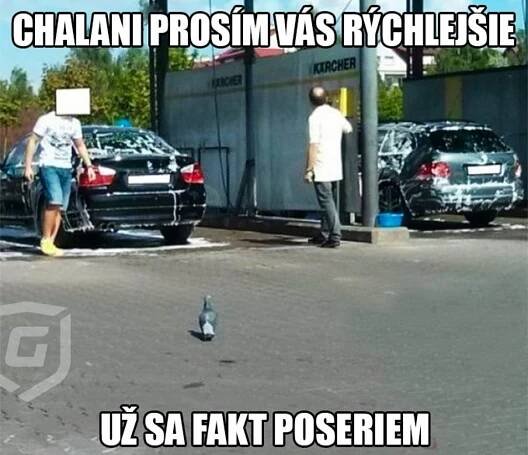 ** Vtipy, vtipné obrázky, videa ** - Strana 378 - Lampárna - ŠKODA Forum - SKODAHOME.cz