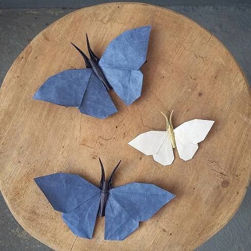 Origami Butterfly: Schéma a tipy, jak vyrobit motýla pro děti