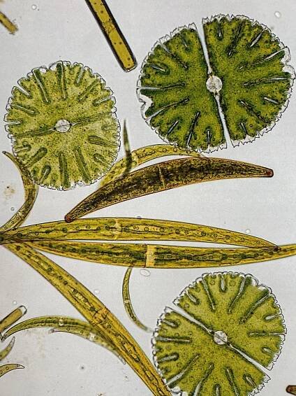 Shop | Freshwater Biological Association
