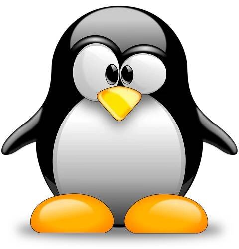 Jak postupovat při práci s operačním systémem Linux? | rady | jaktak.cz
