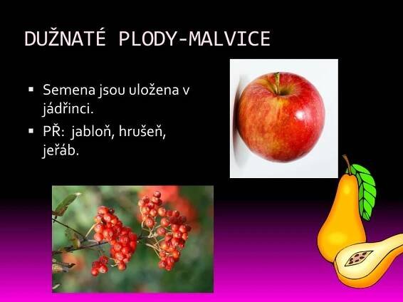 PPT - PLOD PowerPoint Presentation, free download - ID:5193924