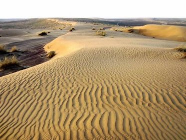 Soubor:Karakum Desert, Turkmenistan.jpg