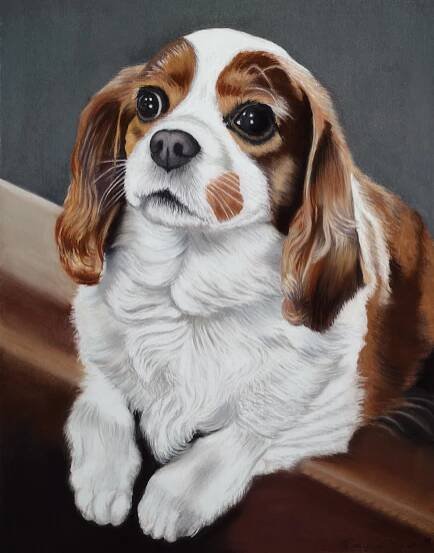 Pets and Animals – Sheryl Newell Art
