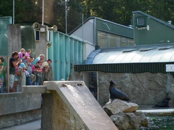 Výlet ZOO 3.9.2011 - Obec Činěves