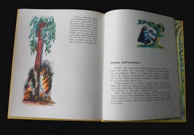 Začarovaný strom -  Nikolaj Osipov    (l19) - Knihy