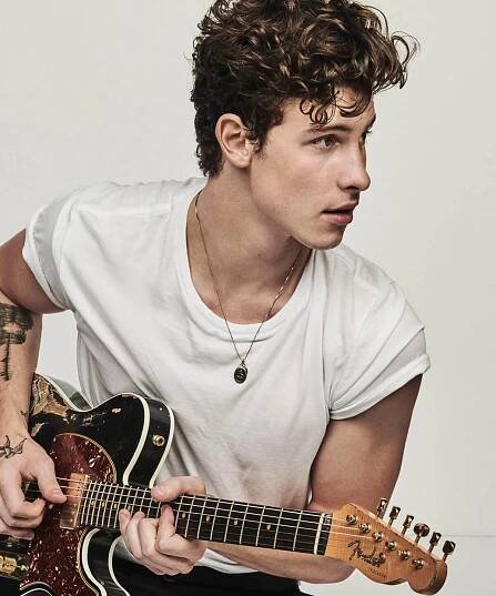 Shawn Mendes Universal music