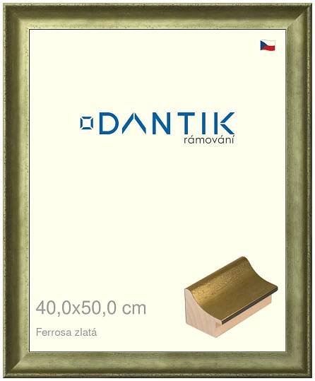 DANTIK rámeček na obraz 40x50