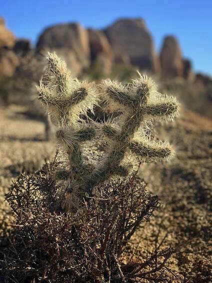 Category:Deserts - Wikimedia Commons