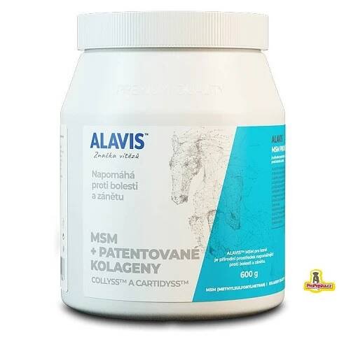 Alavis MSM 600g
