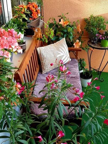 Jednička ocenila pilné zahrádkáře. Díky nim je obvod krásnější - Český pohled