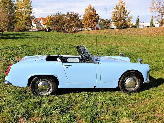 Austin Healey | Autogalerie
