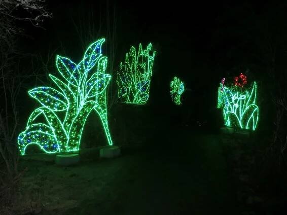 Vzhůru za králíkem! Lumina park je jedno velké barevné dobrodružství