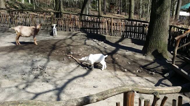 Děčín, zoo. Foto © se svolením Lucie Rybnikářová