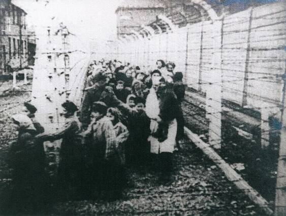 Mengele jej vzal na "pokusy". Osvětim přežil i s bratrem, ostatní zavraždili