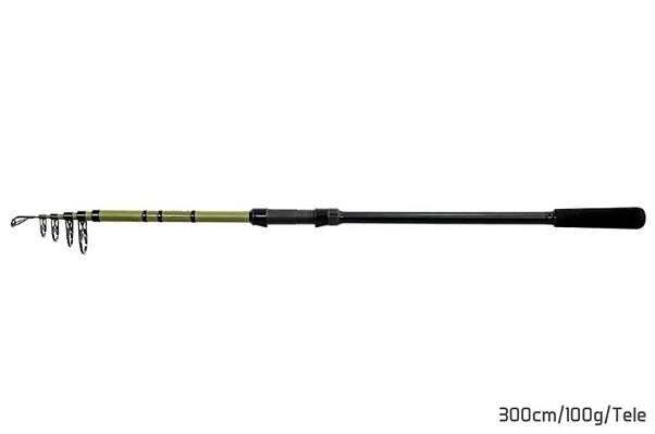 DELPHIN Prut Partisan 300cm 100g