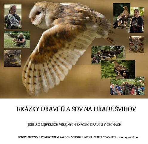Akce Plzeňský kraj - Draví ptáci, sokolník - Z archivu akcí | www.sermiri.cz