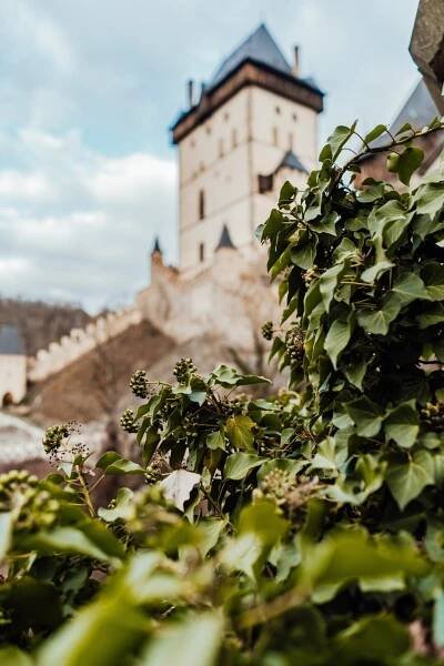 Státní hrad Karlštejn - Karlštejn