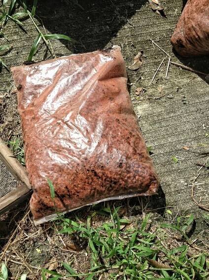 How I make bonsai soil – Adam's Art and Bonsai Blog