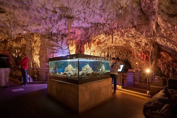 JAMA HOTEL POSTOJNA - Slovinsko - Postojna | Superzajezdy.cz