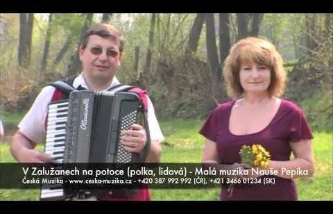 Malá muzika Nauše Pepíka, V Zalužanech na potoce