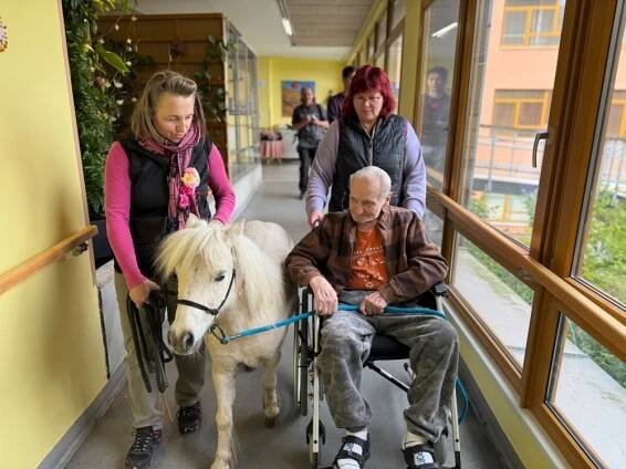Ponička Pampi - Dům seniorů Františkov, Liberec, příspěvková organizace