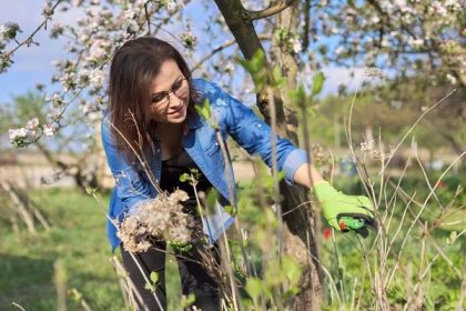 Co dělat v březnu na zahradě? Vysejte zeleninu a bylinky, proveďte jarní řez dřevin a dejte do pořádku trávník | JenŽeny.cz