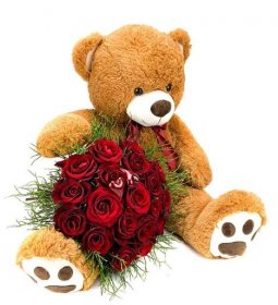 Brown Teddy bear hug