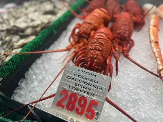 Fish Market Special – Point Loma Seafoods