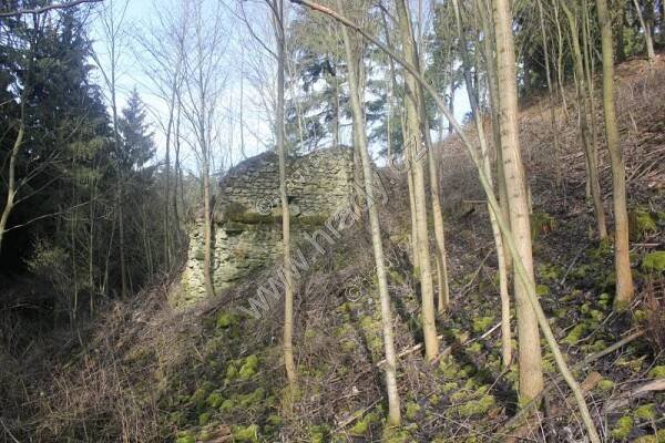 Doubravice nad Svitavou