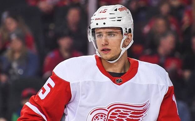 Hokejista Jakub Vrána se po osobních problémech vrací do NHL. Vše je prý na dobré cestě