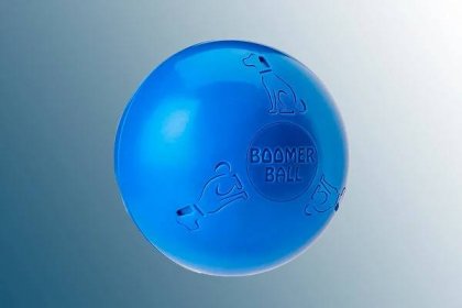 Boomer dog ball on a blue background