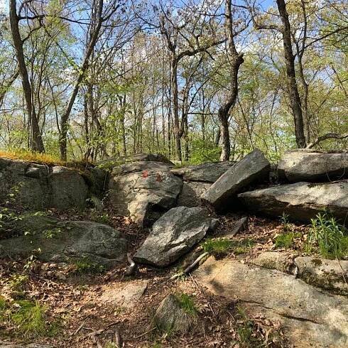 Off the Beaten Path: Palmer Taylor Preserve - The Rockfall Foundation