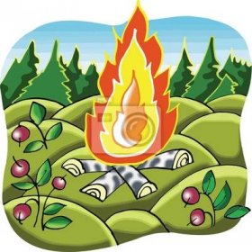 Táborový oheň v lese kreslené ilustrace