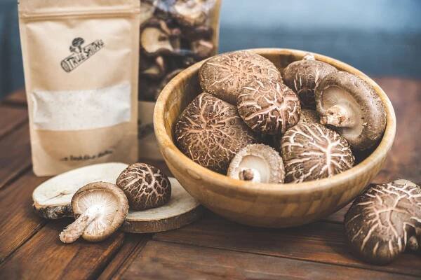 Shiitake a zdraví - True Shiitake