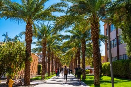 Palm Walk in ASU Tempe Campus