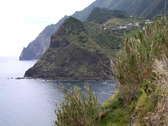 Madeira – mp-galerie.cz