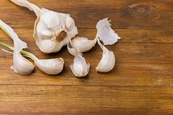 Česnek dodá orchidejím vitaminy a minerály. Zároveň odpozuje hmyz.