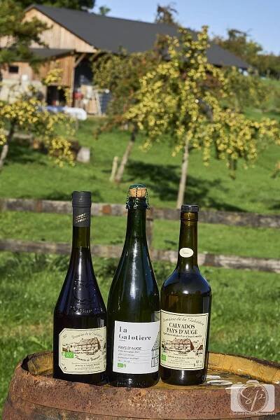 La Galotiere Pays D'Auge France Bottles of Calvados apple brandy, Cider and Pommeau