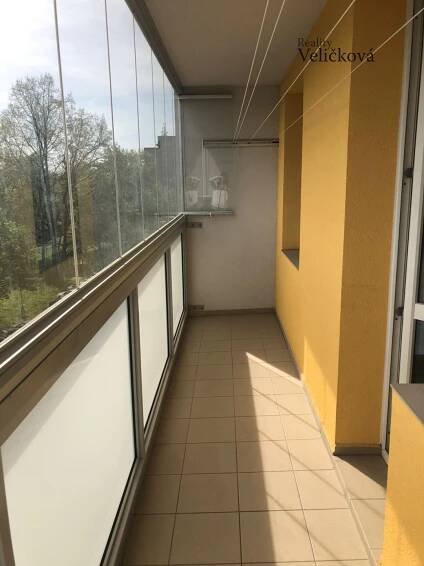Pronájem kompletně zrekonstruovaného slunného bytu 1+KK v Hradci Králové | Reality Veličková