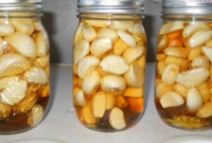 Med, česnek a jablečný ocet: Celoroční domácí léčba pro různé nemoci
