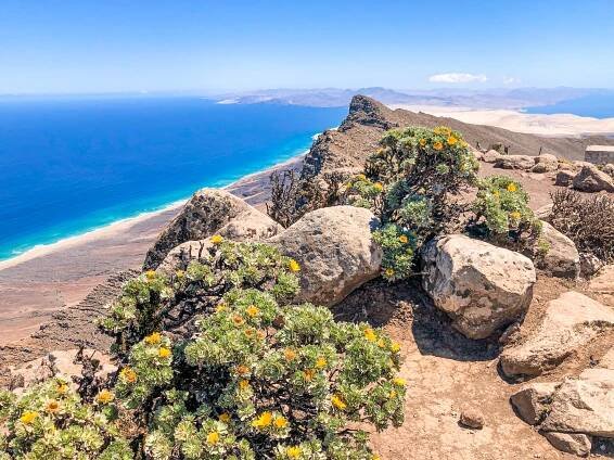 Pico de la Zarza